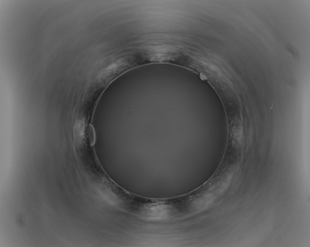 X0000113600219200909251203