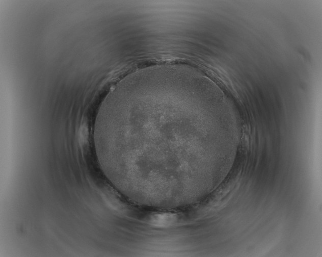 X0000113600220200909251203