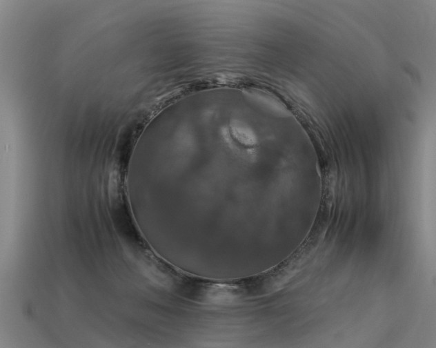 X0000113600222200909251203