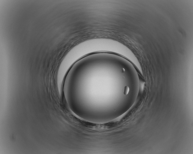 X0000113600225200909251203