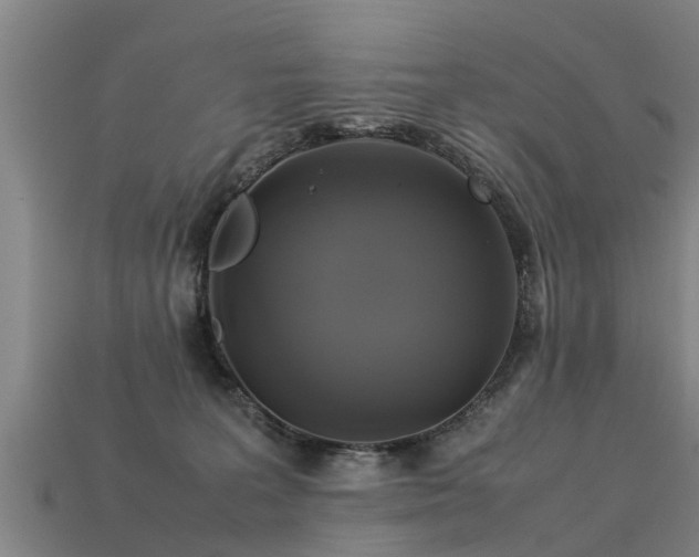 X0000113600227200909251203