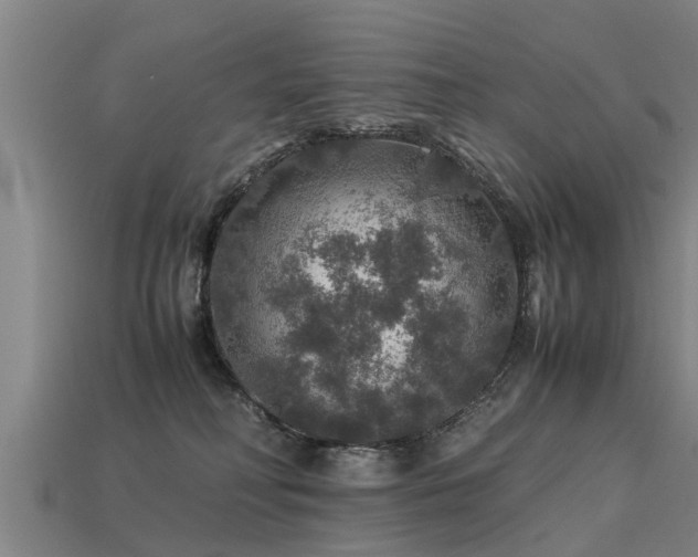 X0000113600230200909251202