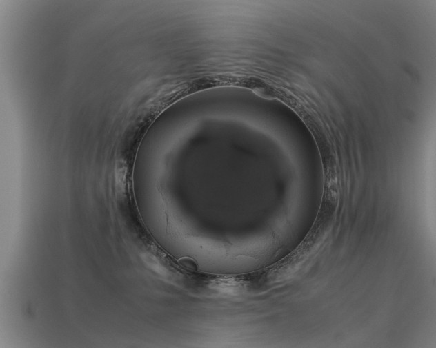 X0000113600231200909251202