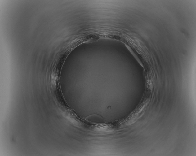 X0000113600235200909251202