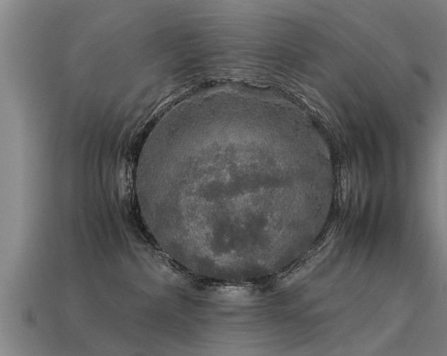 X0000113600236200909251202