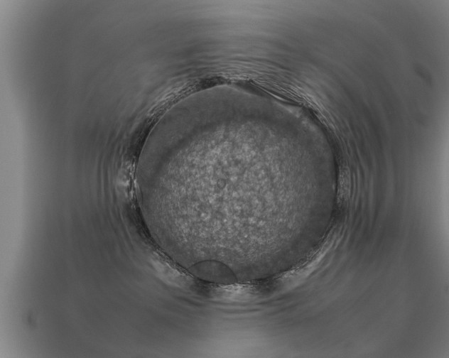 X0000113600237200909251202