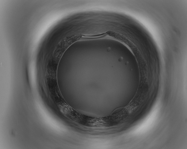 X0000113600239200909251202