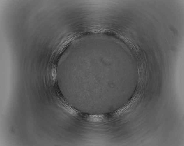 X0000113600240200909251202