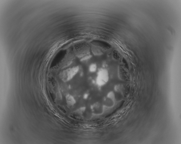 X0000113600241200909251202