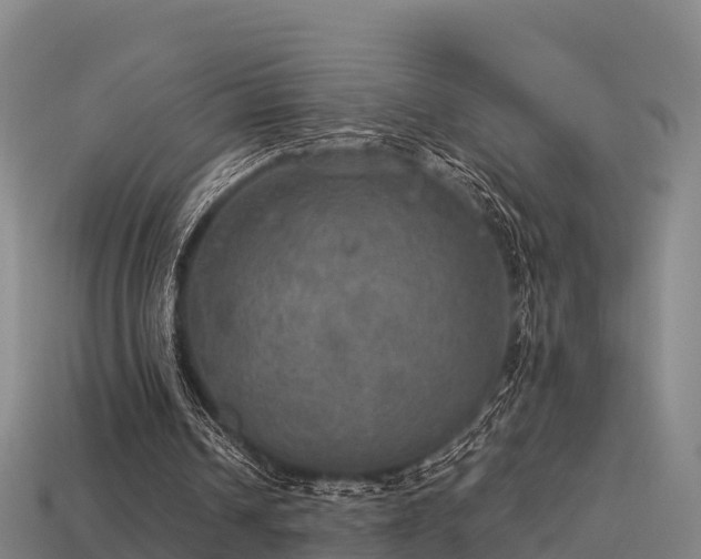 X0000113600242200909251202