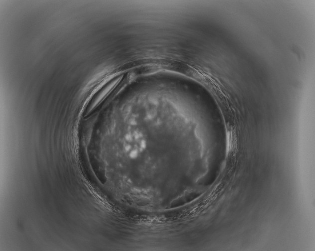 X0000113600243200909251202