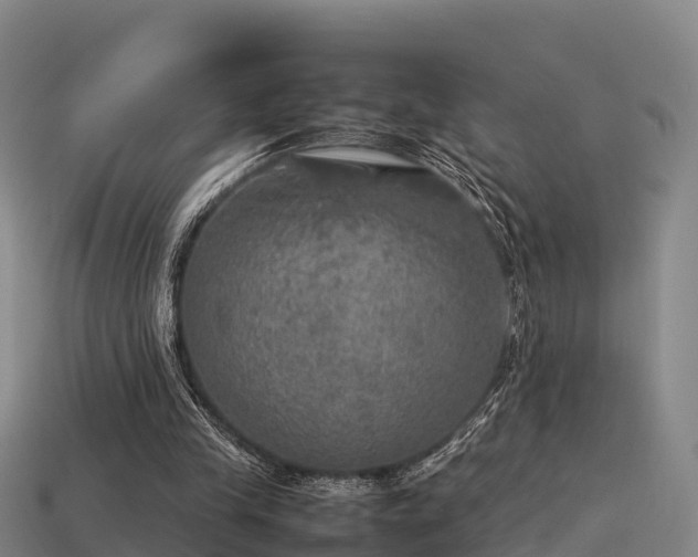 X0000113600245200909251202