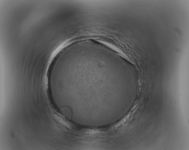 X0000113600246200909251202