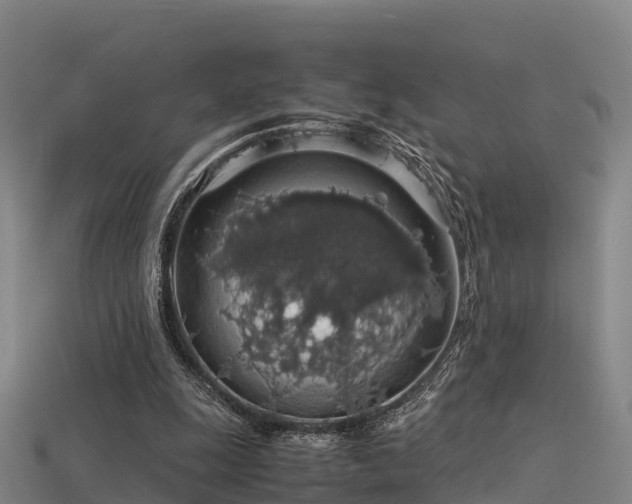 X0000113600247200909251202