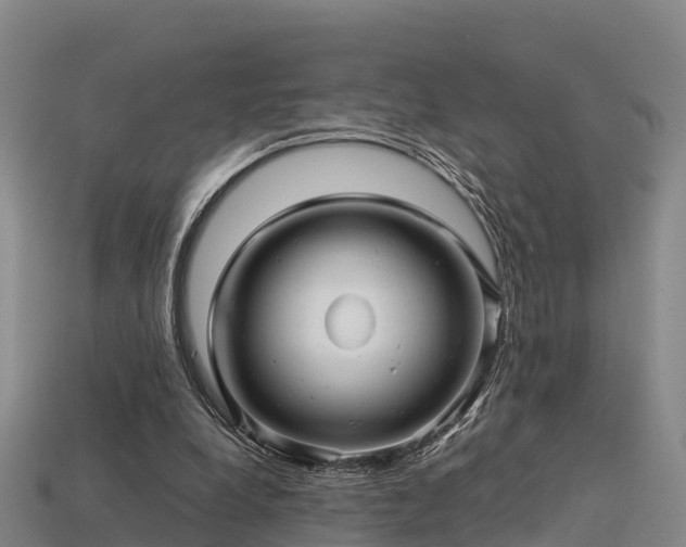 X0000113600248200909251202