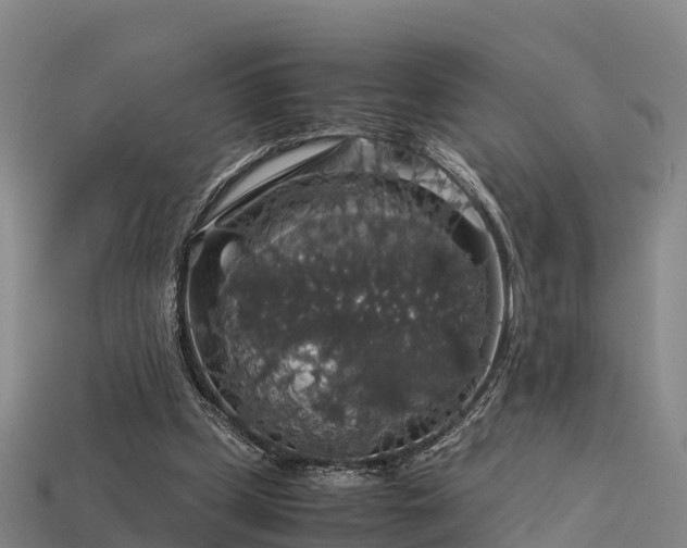 X0000113600249200909251202