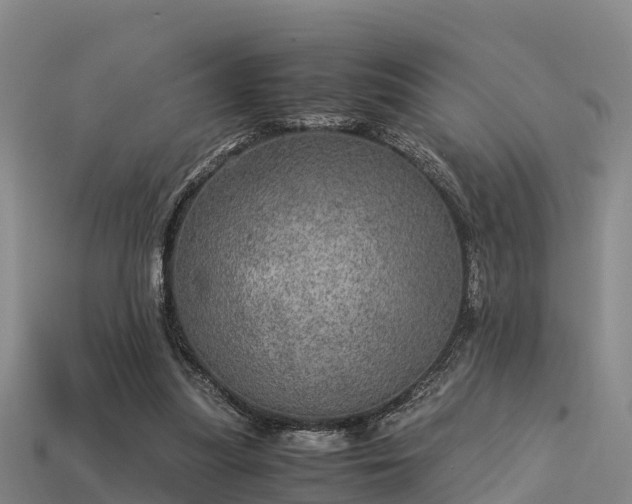 X0000113600251200909251202