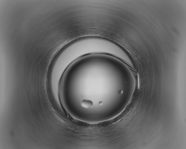 X0000113600252200909251202