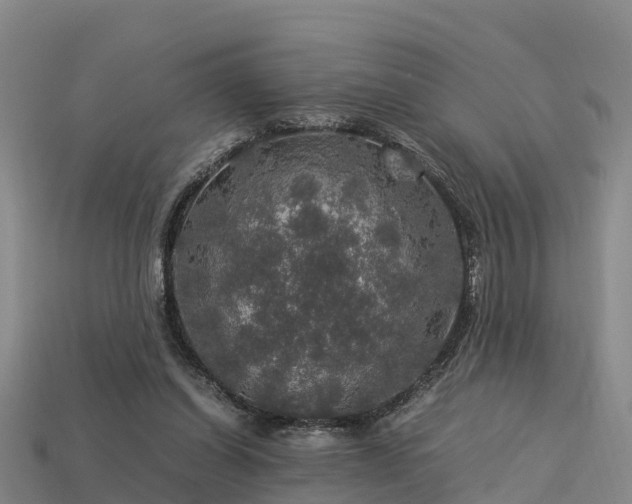 X0000113600254200909251202