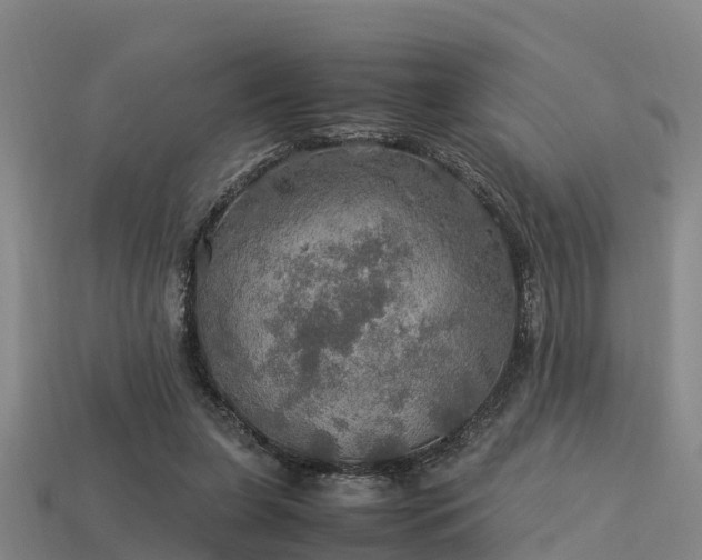 X0000113600255200909251202