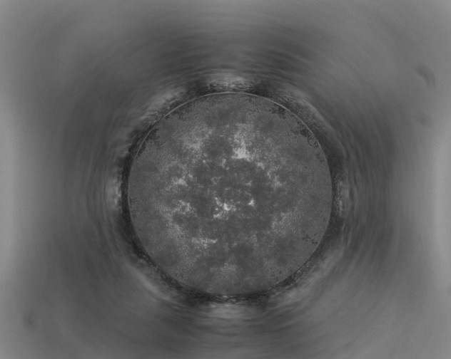 X0000113600259200909251202