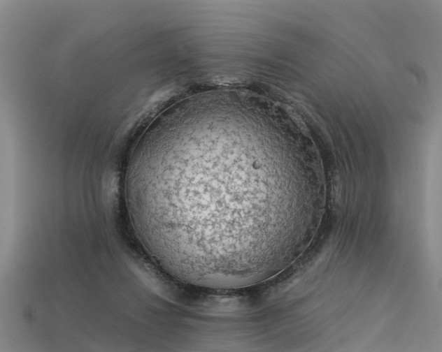 X0000113600260200909251202