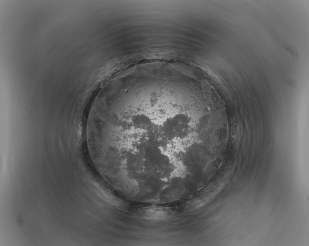 X0000113600261200909251202