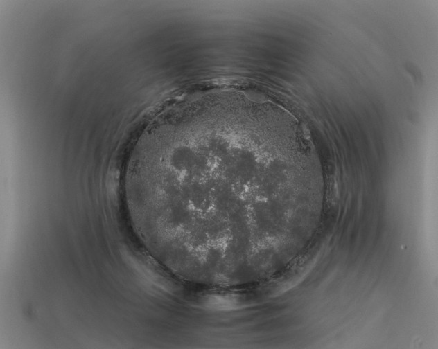 X0000113600263200909251202