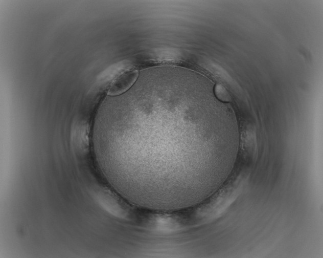 X0000113600264200909251202