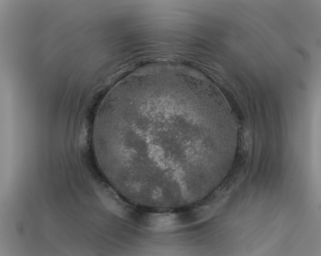 X0000113600266200909251202