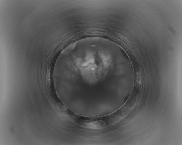 X0000113600267200909251202