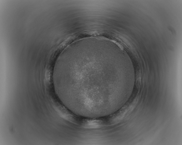 X0000113600268200909251202