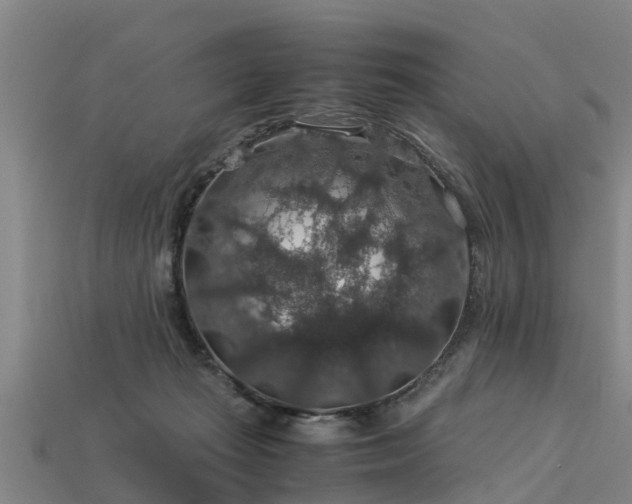 X0000113600269200909251202