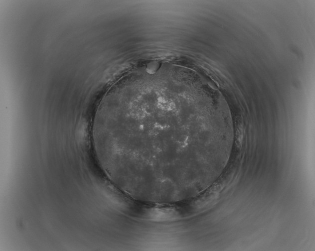 X0000113600270200909251202