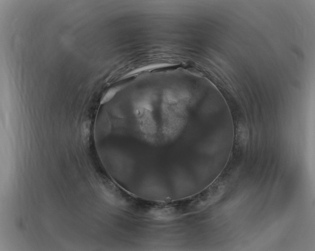 X0000113600271200909251202