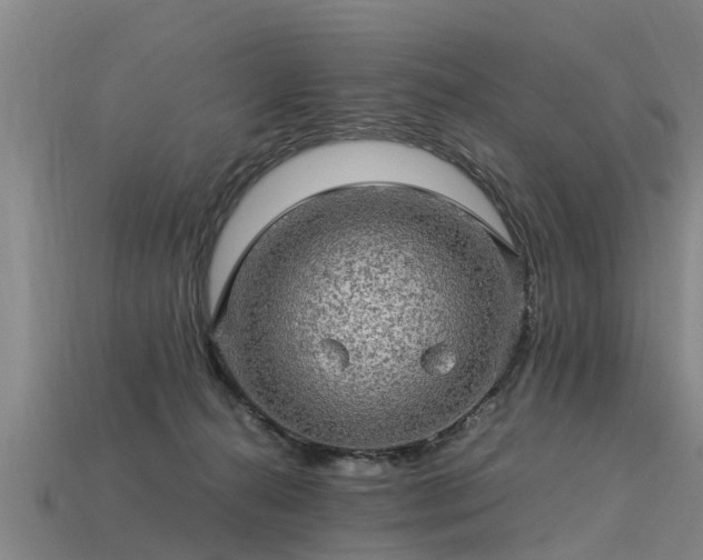 X0000113600272200909251202