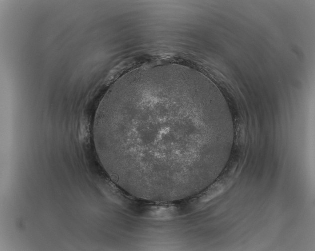 X0000113600274200909251202