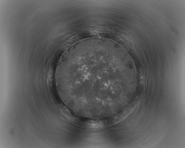 X0000113600275200909251202