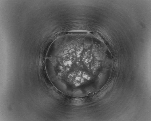 X0000113600277200909251202