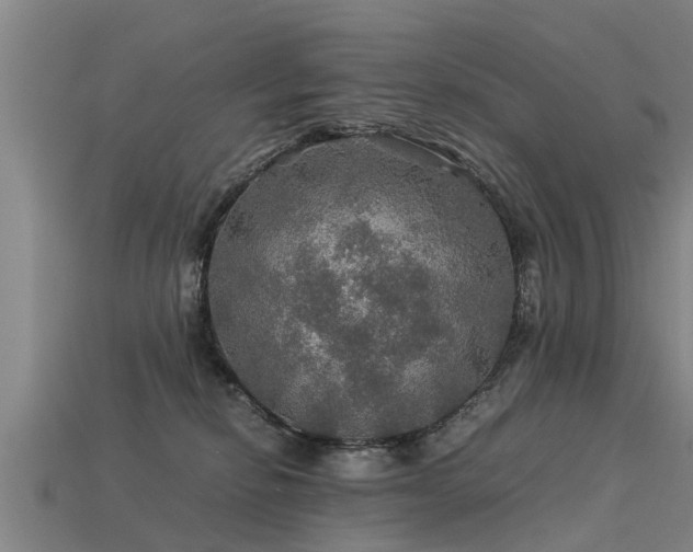 X0000113600278200909251202