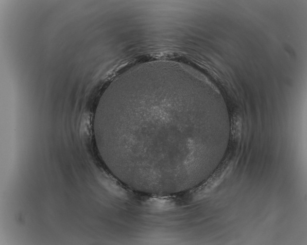 X0000113600280200909251202