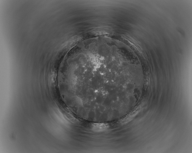 X0000113600281200909251202