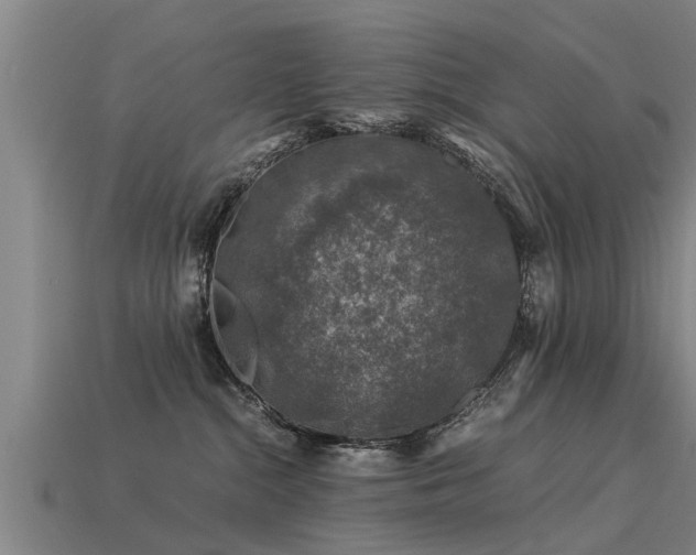 X0000113600284200909251202