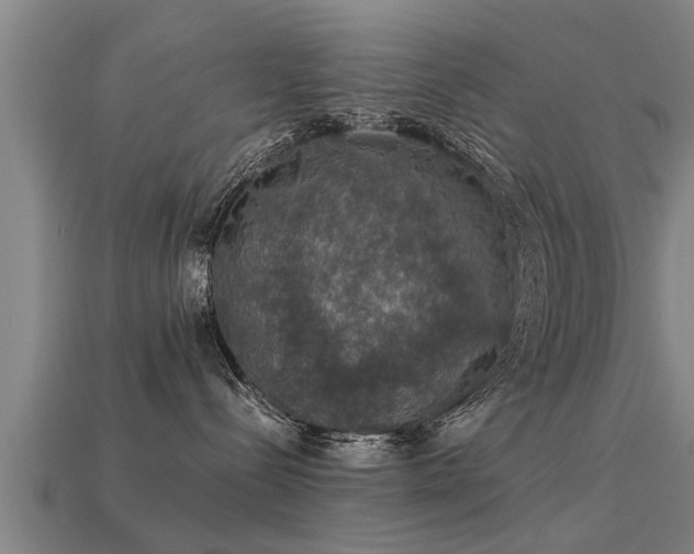 X0000113600288200909251202