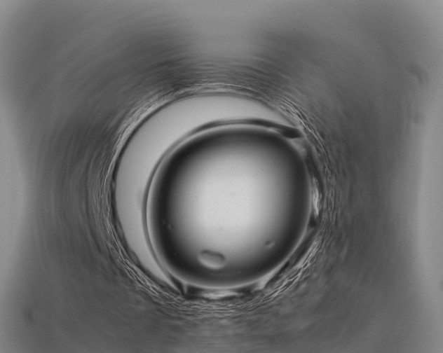 X0000113600289200909251202