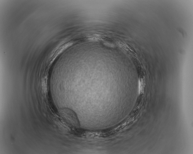 X0000113600291200909251202