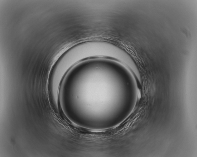 X0000113600292200909251202