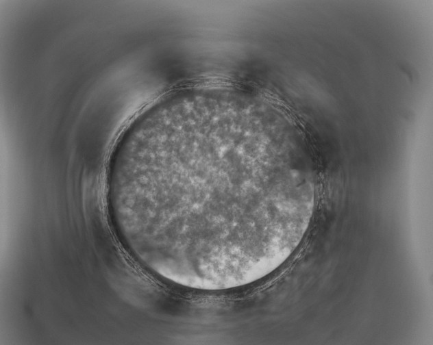 X0000113600293200909251202