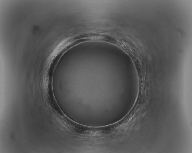 X0000113600295200909251202