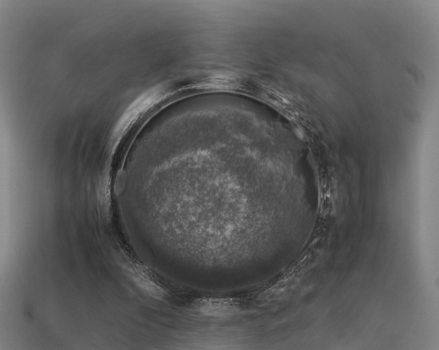 X0000113600296200909251202